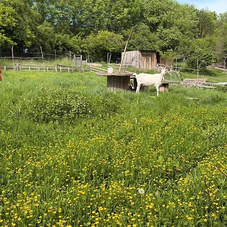 Schmoellner Eierlei Schmolln (Altenburger)